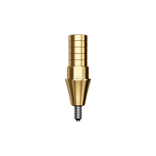 CM-IFC 3042
