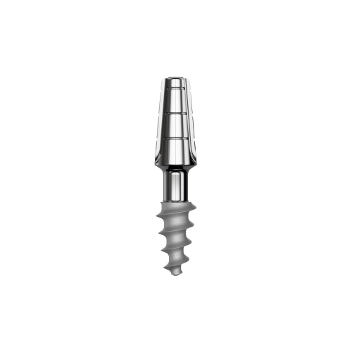 SLD-0635 c+3